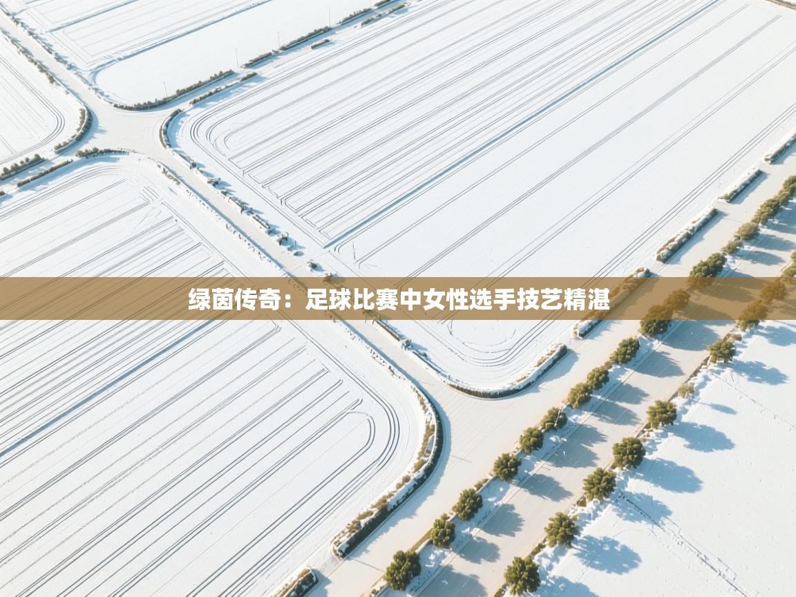 绿茵传奇：足球比赛中女性选手技艺精湛  第2张
